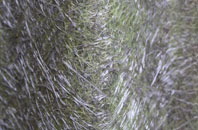 Postling fibreglass roof work